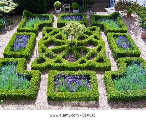 tudor knot garden|elizabethan knot garden.